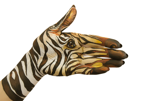 Hand painted to look like a zebra