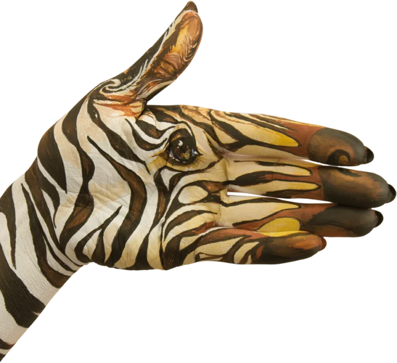 Hand painted to look like a zebra